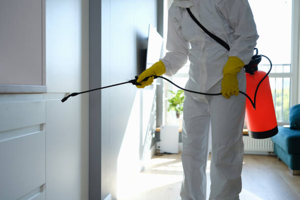 Best DIY Mold Remediation Support Services in Larkfield Wikiup, CA