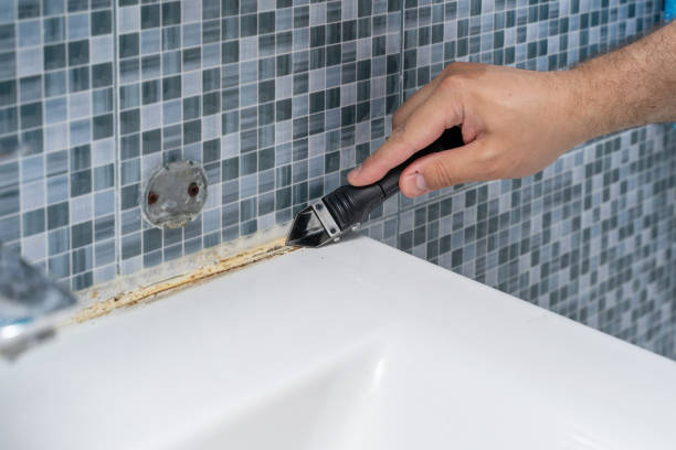 Best Post-Flood Mold Remediation in Larkfield Wikiup, CA