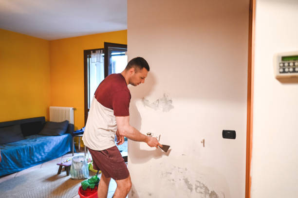 Best Bathroom Mold Remediation in Larkfield Wikiup, CA